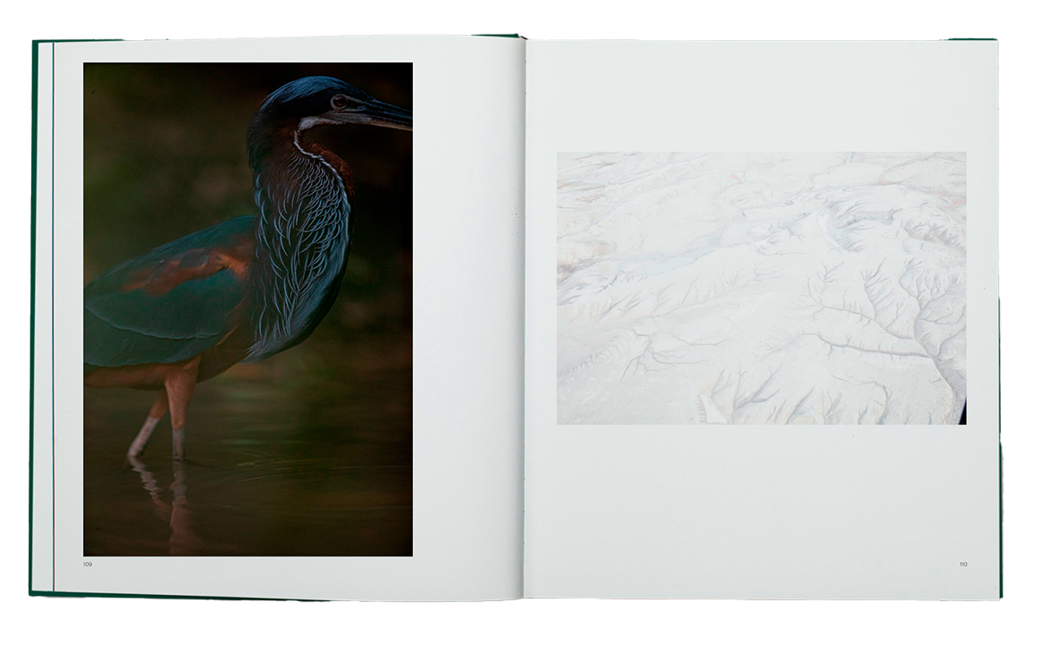 WILD /  Helle & Uri Løvevild Golman    w Stiftere – WILD Nature Foundation